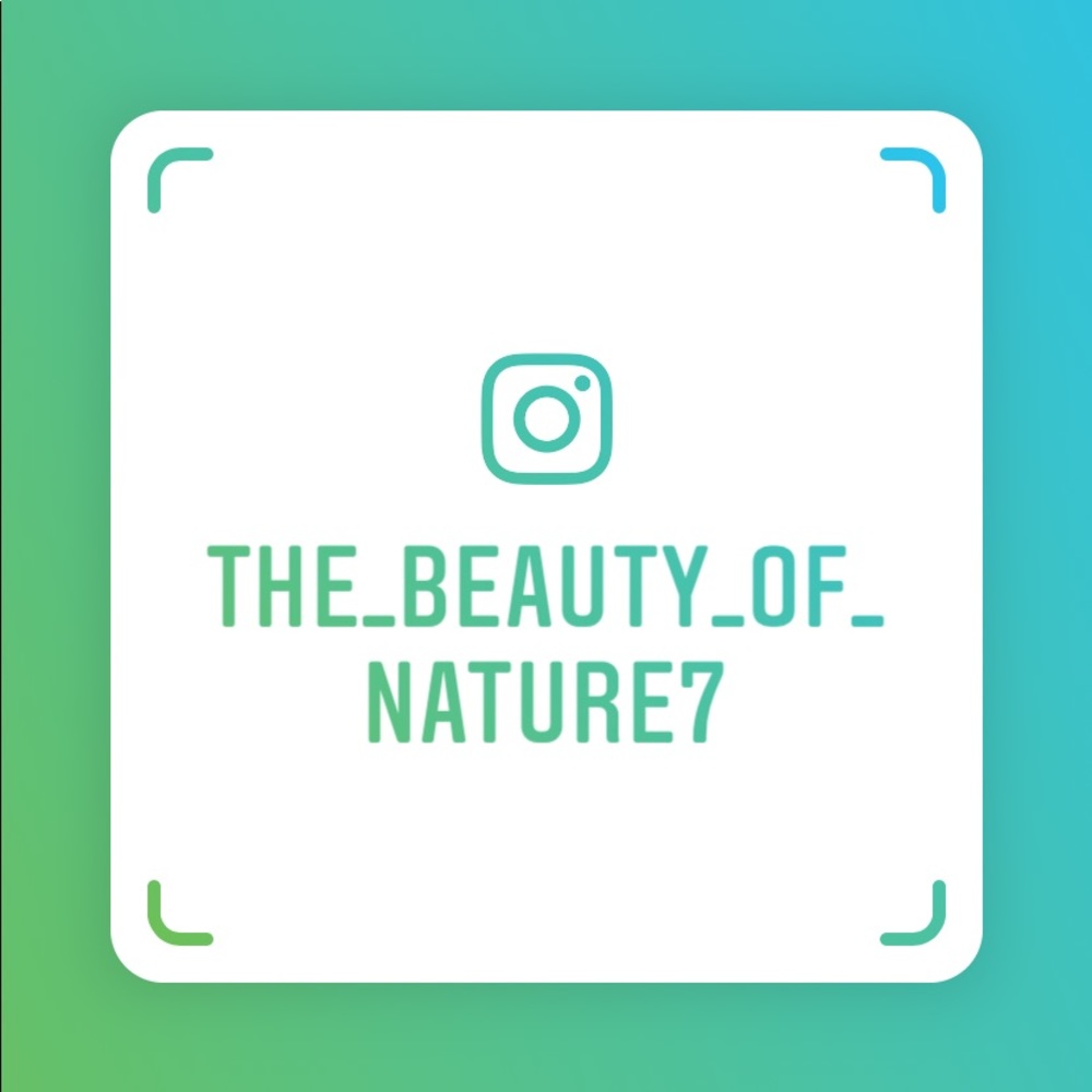 10% with follow on Instagram